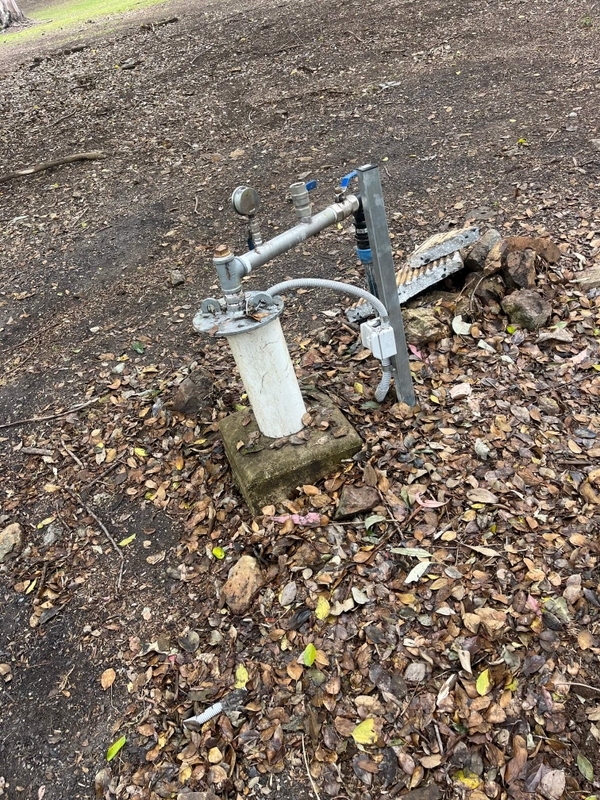 Brisbane Water Bores  0616