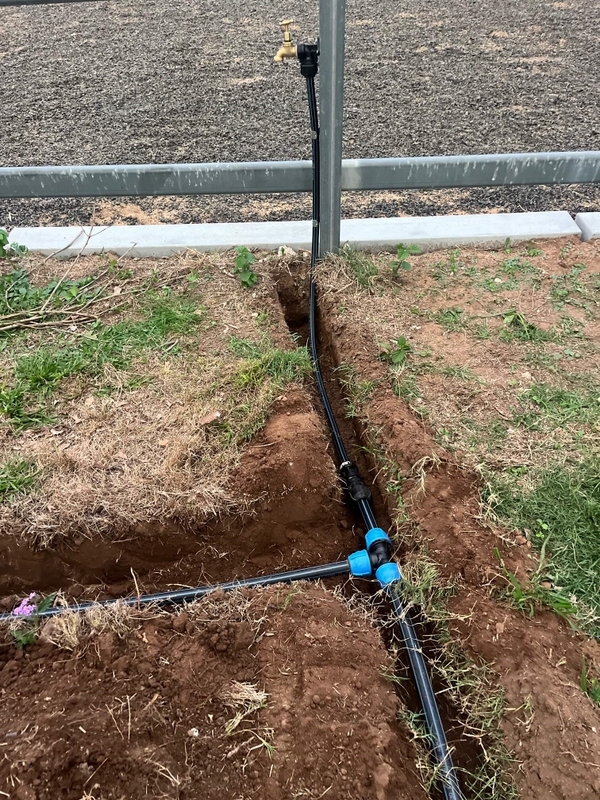 Brisbane Water Bores  0916