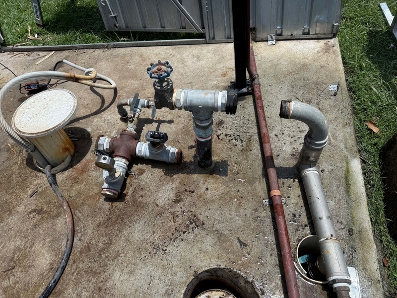 Brisbane Water Bores  1416