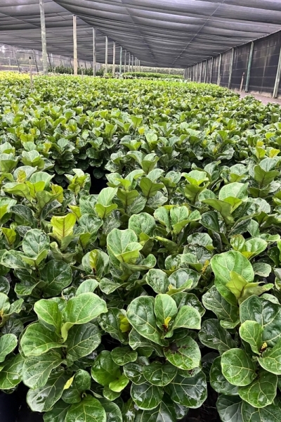 Welcome to Brisbane Water Bores, a Business that solely looks after Water Bores.